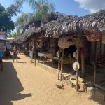 Photo taken by Alison R