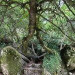 Photo taken by Bobbie X