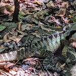 Photo taken by Daniel S