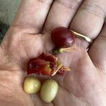 Photo taken by Allen L