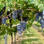 Photo taken by Linda C