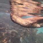 Photo taken by Patricia D