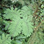 Photo taken by Jennifer G