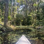 Photo taken by Nicole S