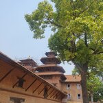 Photo taken by Jane G