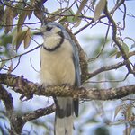 Photo taken by Roveen B