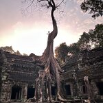 Photo taken by Emma C