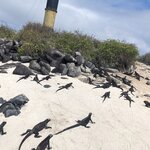 Photo taken by Jennifer A