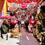 Photo taken by Jenifer B