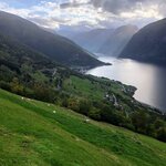 Photo taken by Anita H