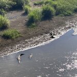 Photo taken by Erika M