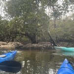 Photo taken by Rosemary S