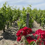 Photo taken by Judy B