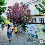 Photo taken by Aaron L