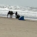 Photo taken by Betsy V