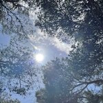 Photo taken by Marinus V