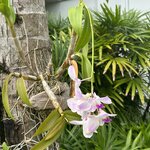 Photo taken by Fuad A