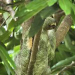 Photo taken by Ceinwen P