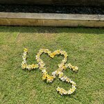 Photo taken by Kim G