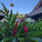 Photo taken by Ciarra N