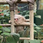 Photo taken by Alex V