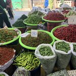 Photo taken by Megan H