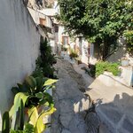 Photo taken by SHOSHANA S