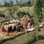 Photo taken by Susan H