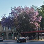 Photo taken by Bao T