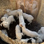 Photo taken by Peter M