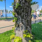 Photo taken by Sarina H