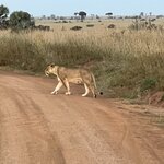 Photo taken by Michael L