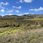 Photo taken by Amy Z