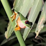 Photo taken by Erna P