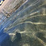 Photo taken by Patricia K