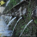 Photo taken by Martha D