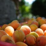 Photo taken by Marla G