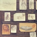 Photo taken by Stephanie Y