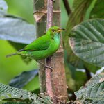 Photo taken by Dawne D