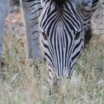 Photo taken by John B