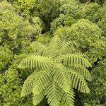 Photo taken by Don P