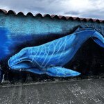 Photo taken by Jon A