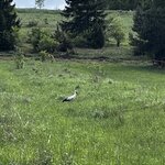 Photo taken by Sylvia S