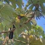 Photo taken by Kristen L