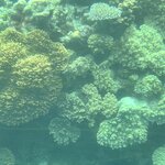 Photo taken by Hari R