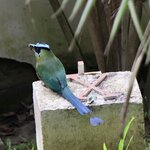 Photo taken by Miranda M