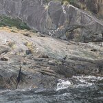 Photo taken by Trent G