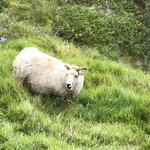 Photo taken by Jon A