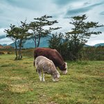 Photo taken by timothy m