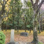 Photo taken by Zulhelmi R